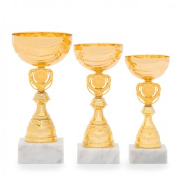 Poháry Edice Ekonom 33736