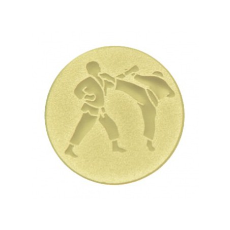 Logo 027 bojové sporty