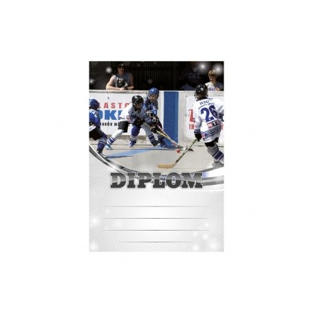 Diplom 6611