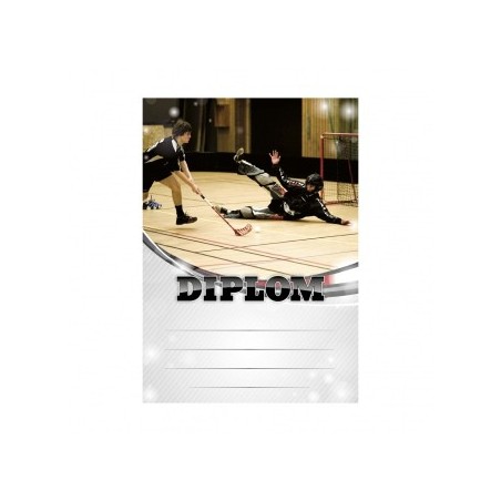 Diplom 6615