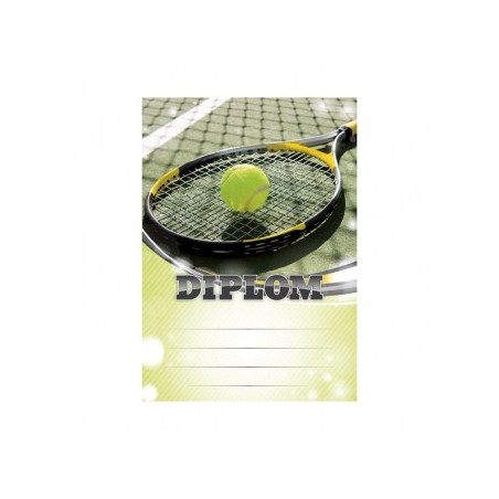 Diplom 6617