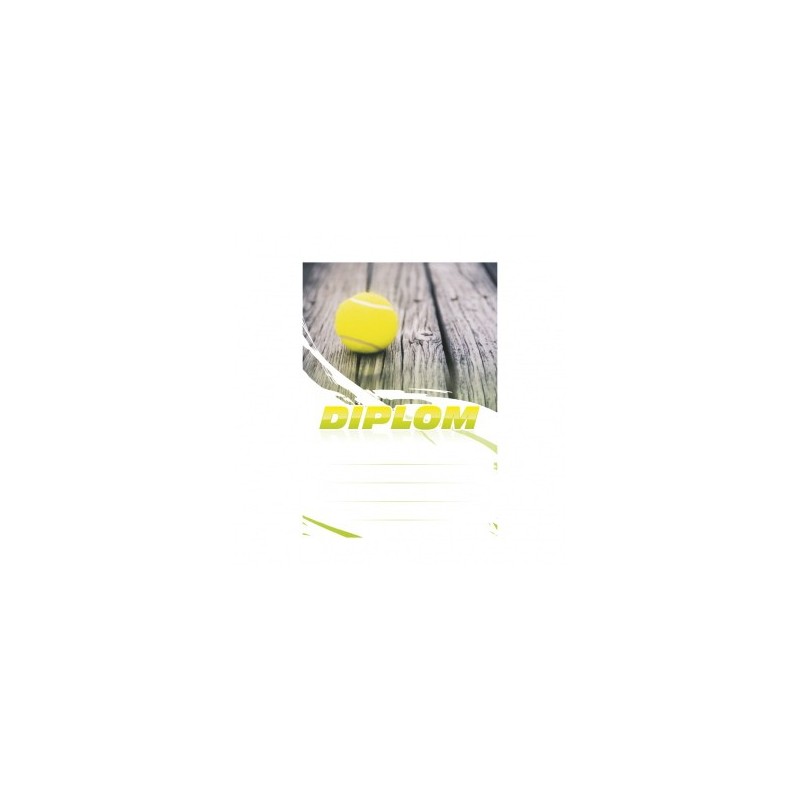 Diplom 6622