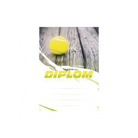 Diplom 6622