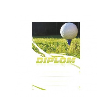 Diplom 6624