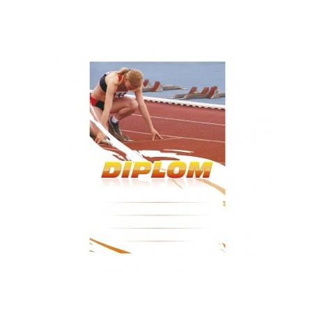 Diplom 6629