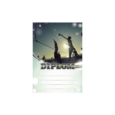 Diplom 6633