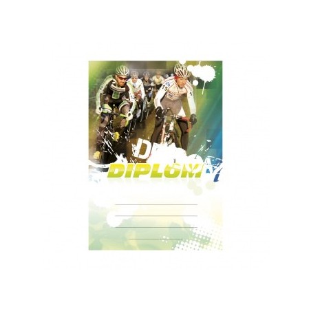 Diplom 6641