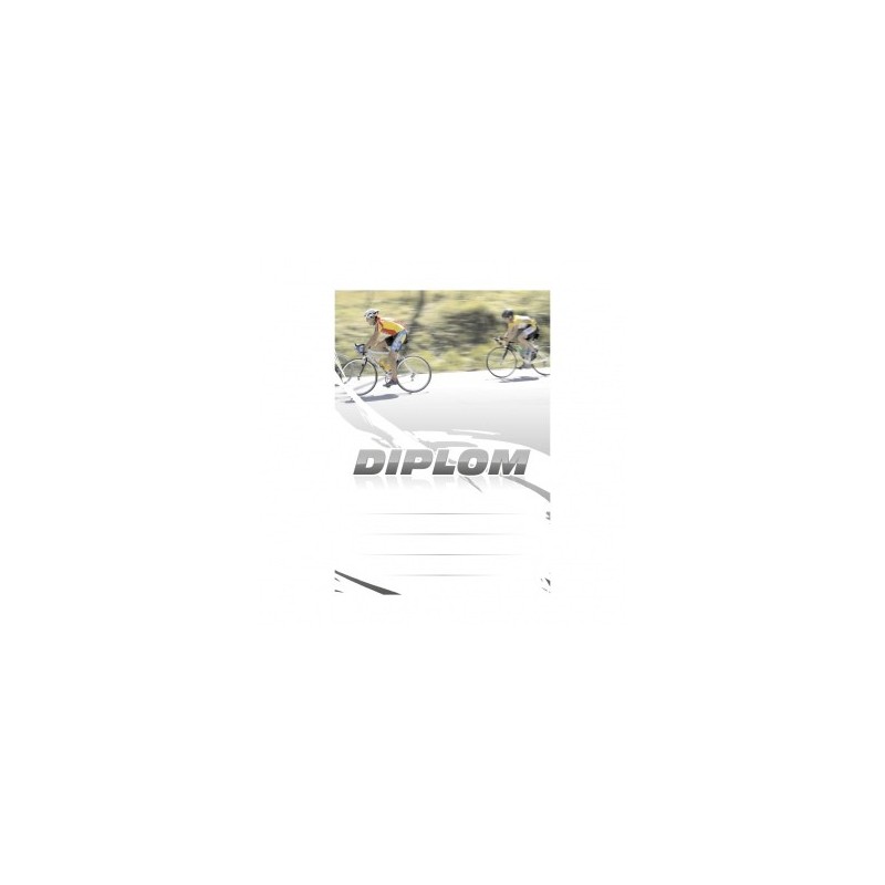 Diplom 6642