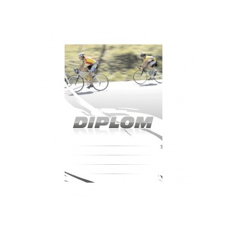 Diplom 6642