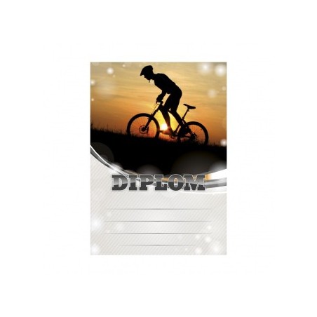Diplom 6645