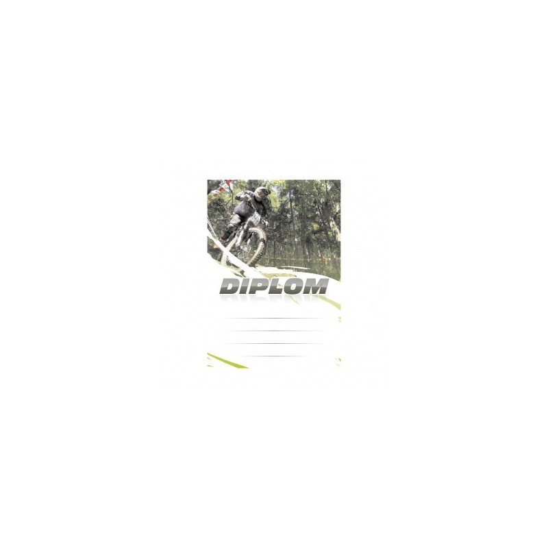 Diplom 6646
