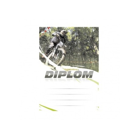 Diplom 6646
