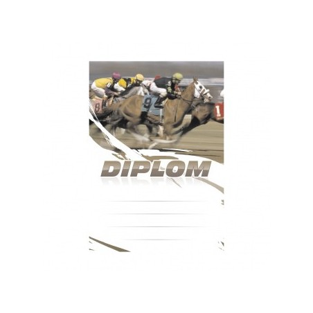 Diplom 6665