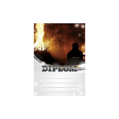 Diplom 6671