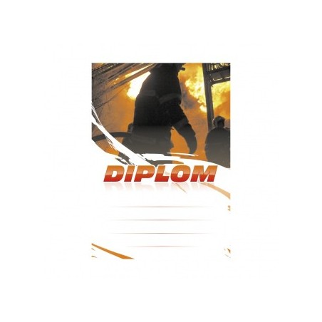 Diplom 6671