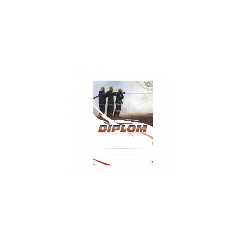 Diplom 6671