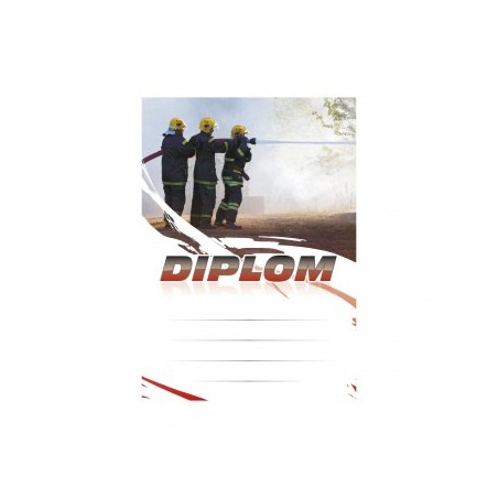 Diplom 6671