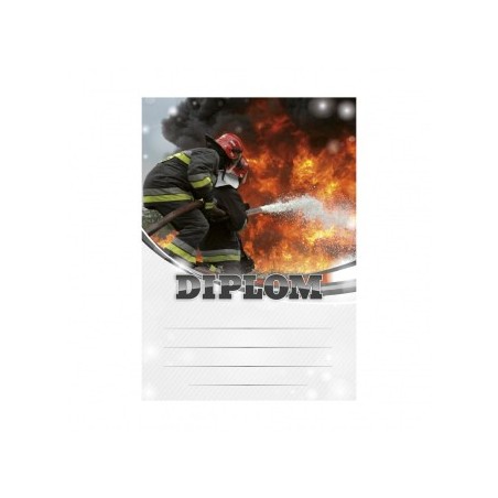 Diplom 6671