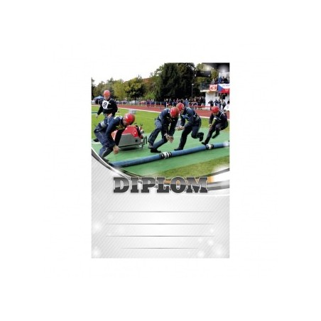 Diplom 6675