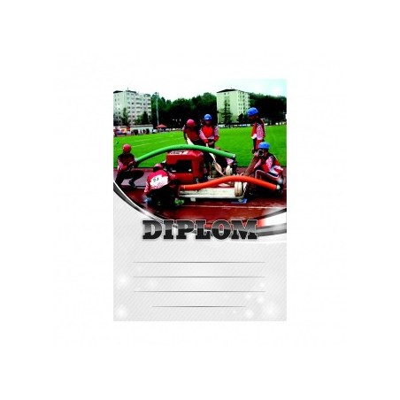 Diplom 6676