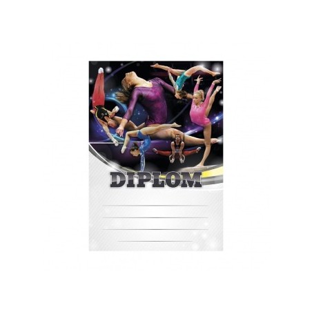Diplom 6688