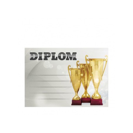 Diplom 6714