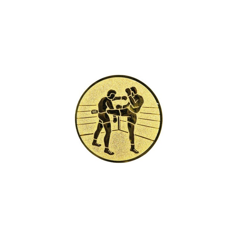 Logo LTK119 kickbox/MMA