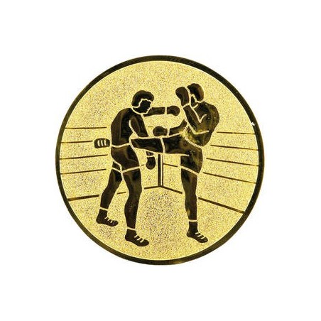 Logo LTK119 kickbox/MMA