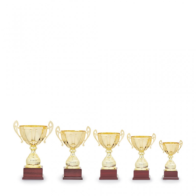 Poháry Standard 24057