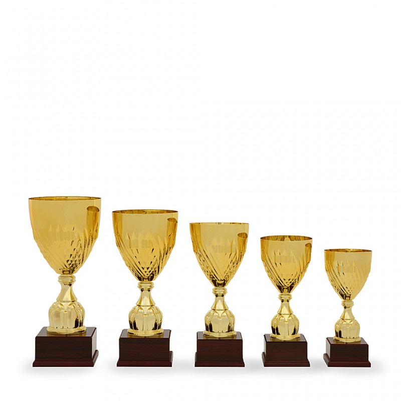 Poháry Standard 24054