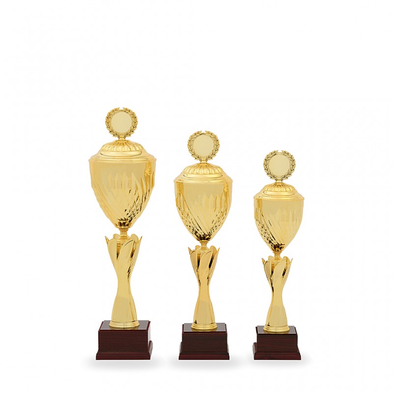 Poháry Standard 24040