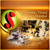 HOKEJ, FLORBAL, HOKEJBAL